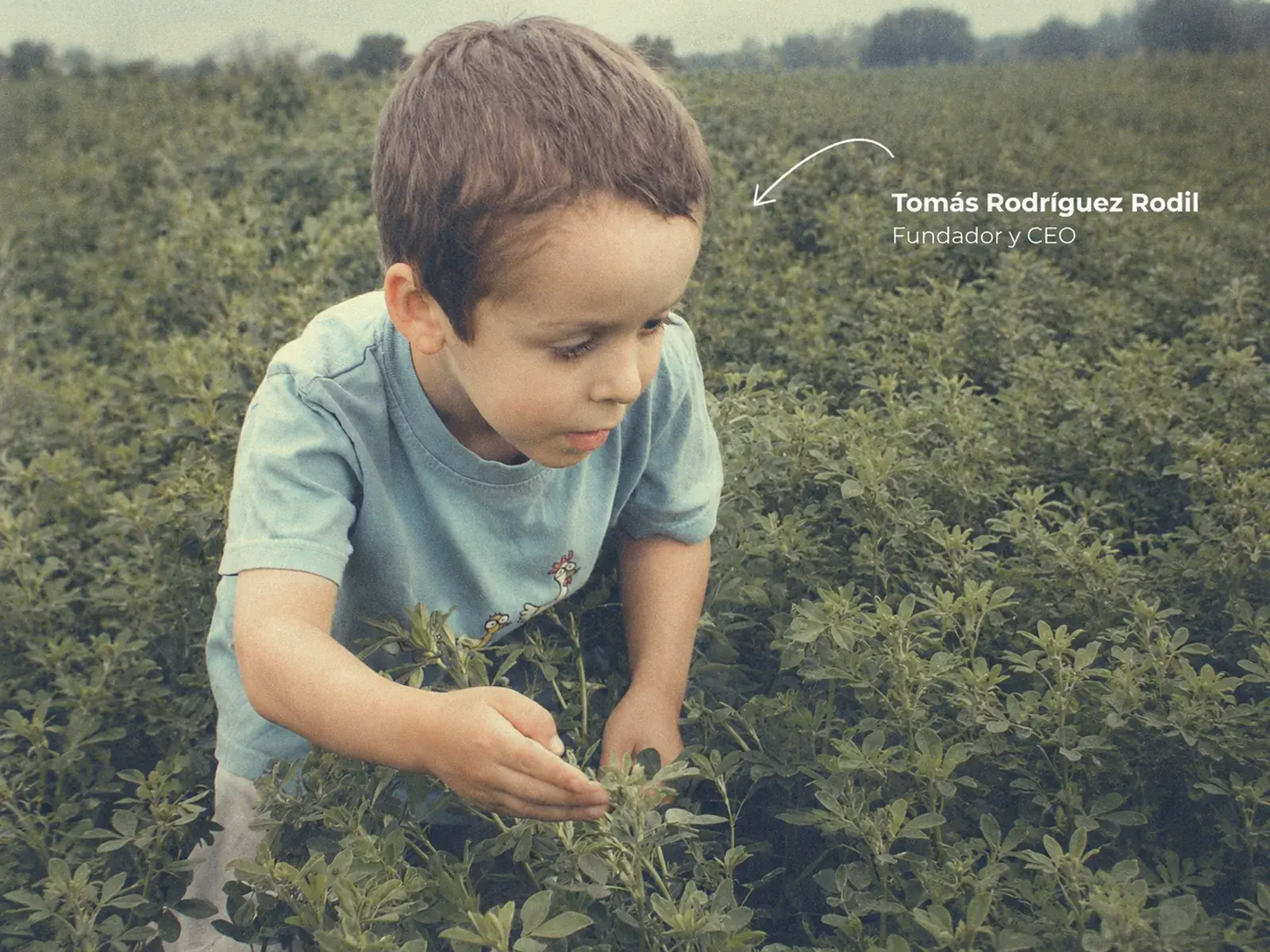 Tomás Rodríguez Rodil de chico, agachado entre la alfalfa de un campo. Tomás Rodríguez Rodil — Fundador y CEO